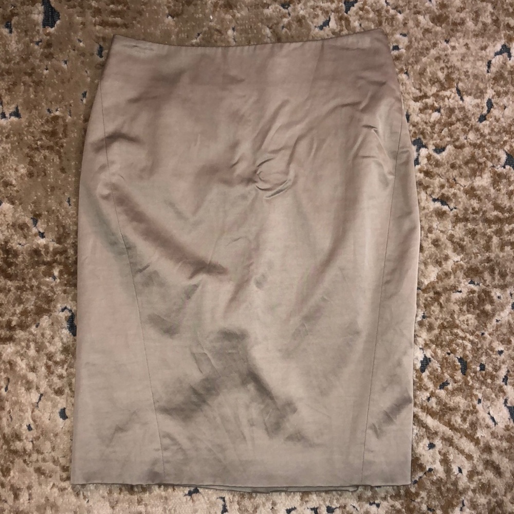 Ann Taylor Skirt